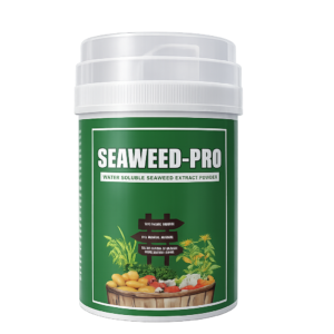 Bio Fertilizer